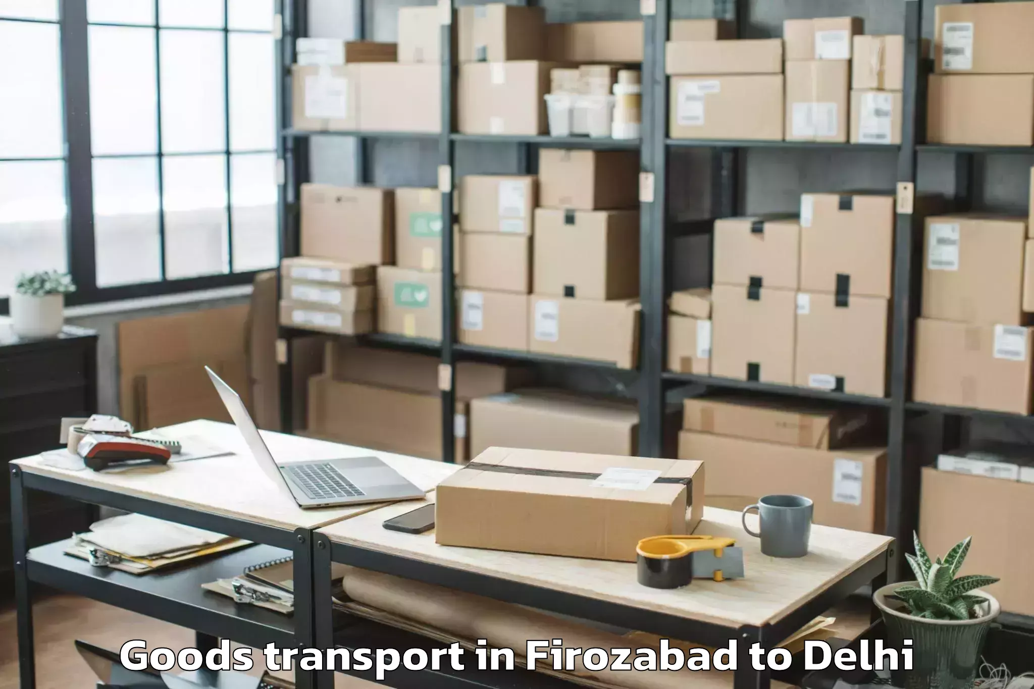 Top Firozabad to Unity One Mall Rohini Goods Transport Available